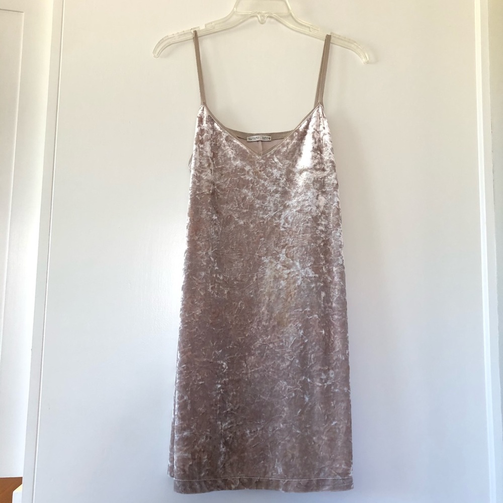 Zara Champagne Crushed Velvet Dress